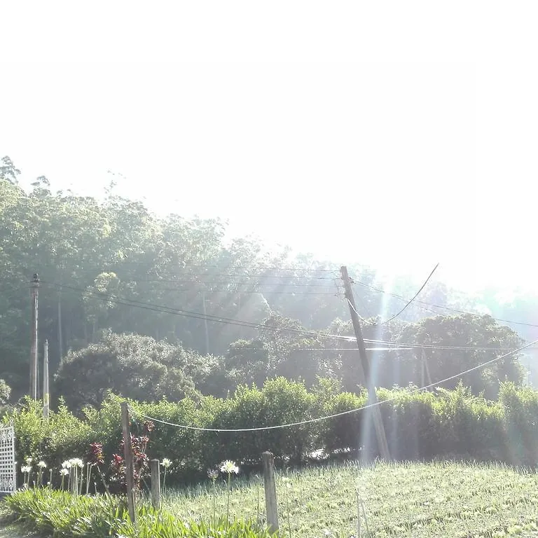 Kumara Sevana 누와라 엘리야 스리랑카